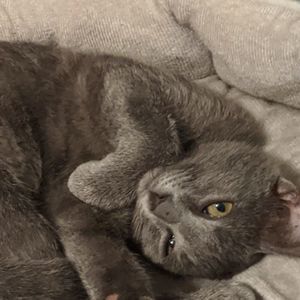 Meet your Posher, Jacquelyn